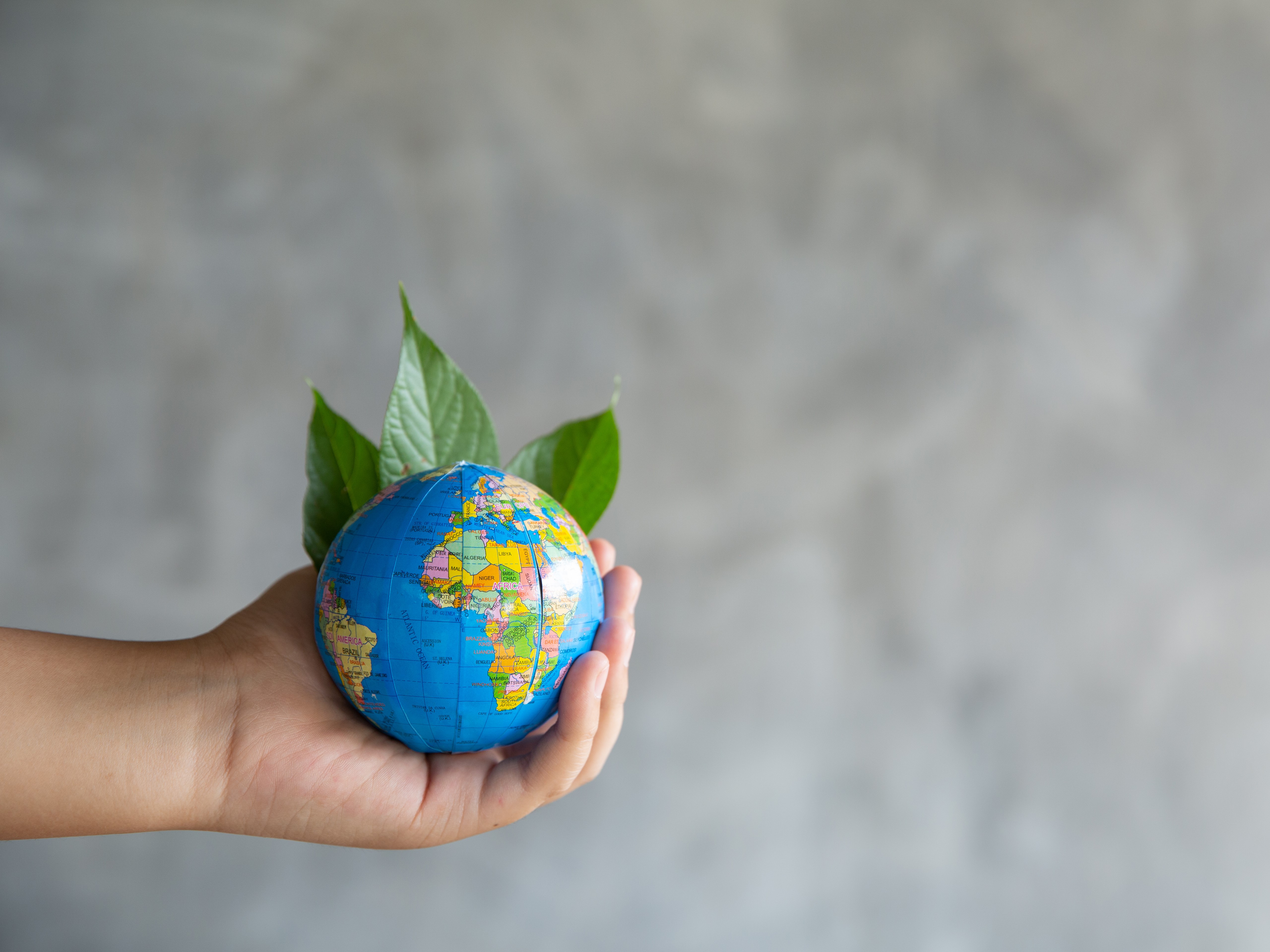 Sustentabilidad y Cambio Climático